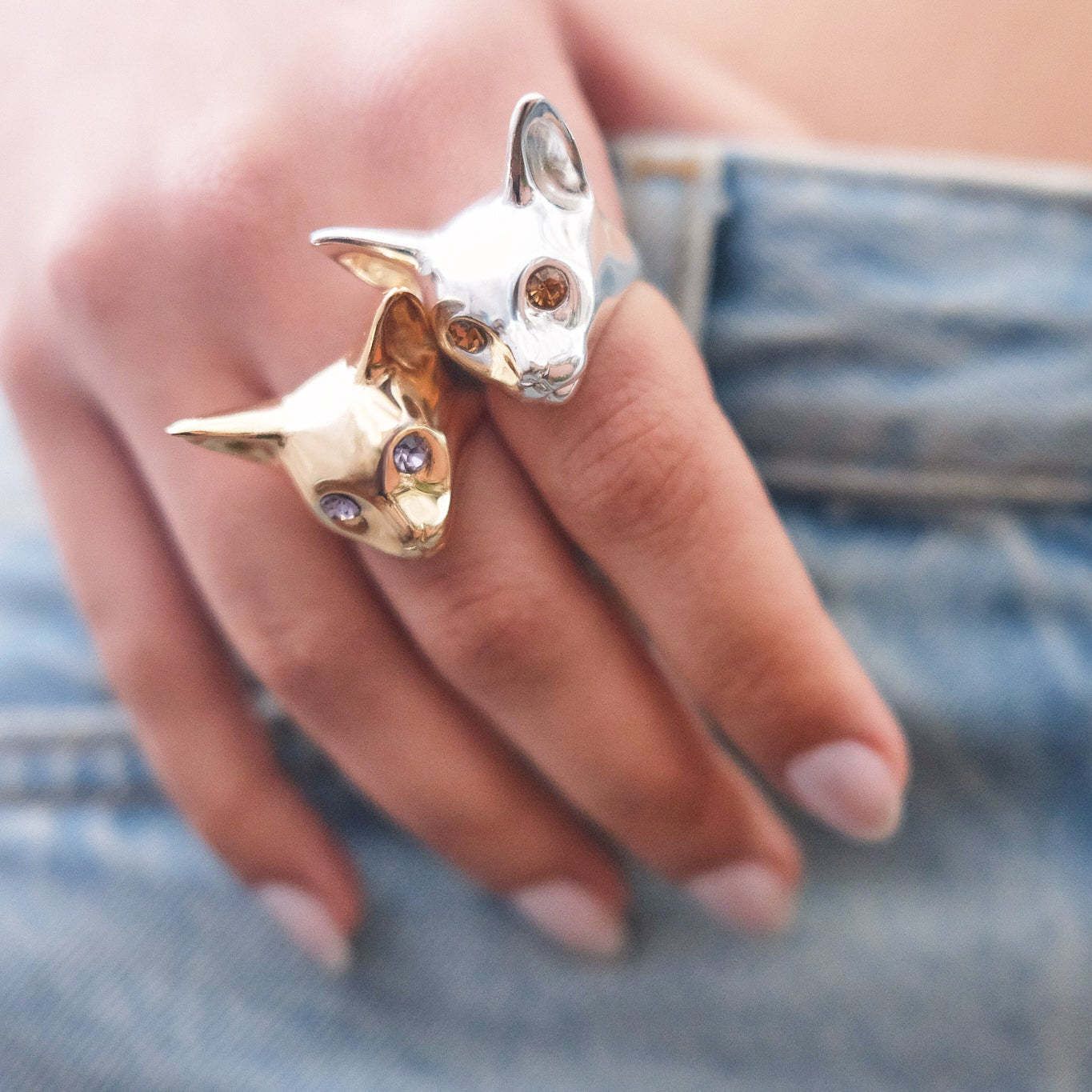 ANILLO GATO