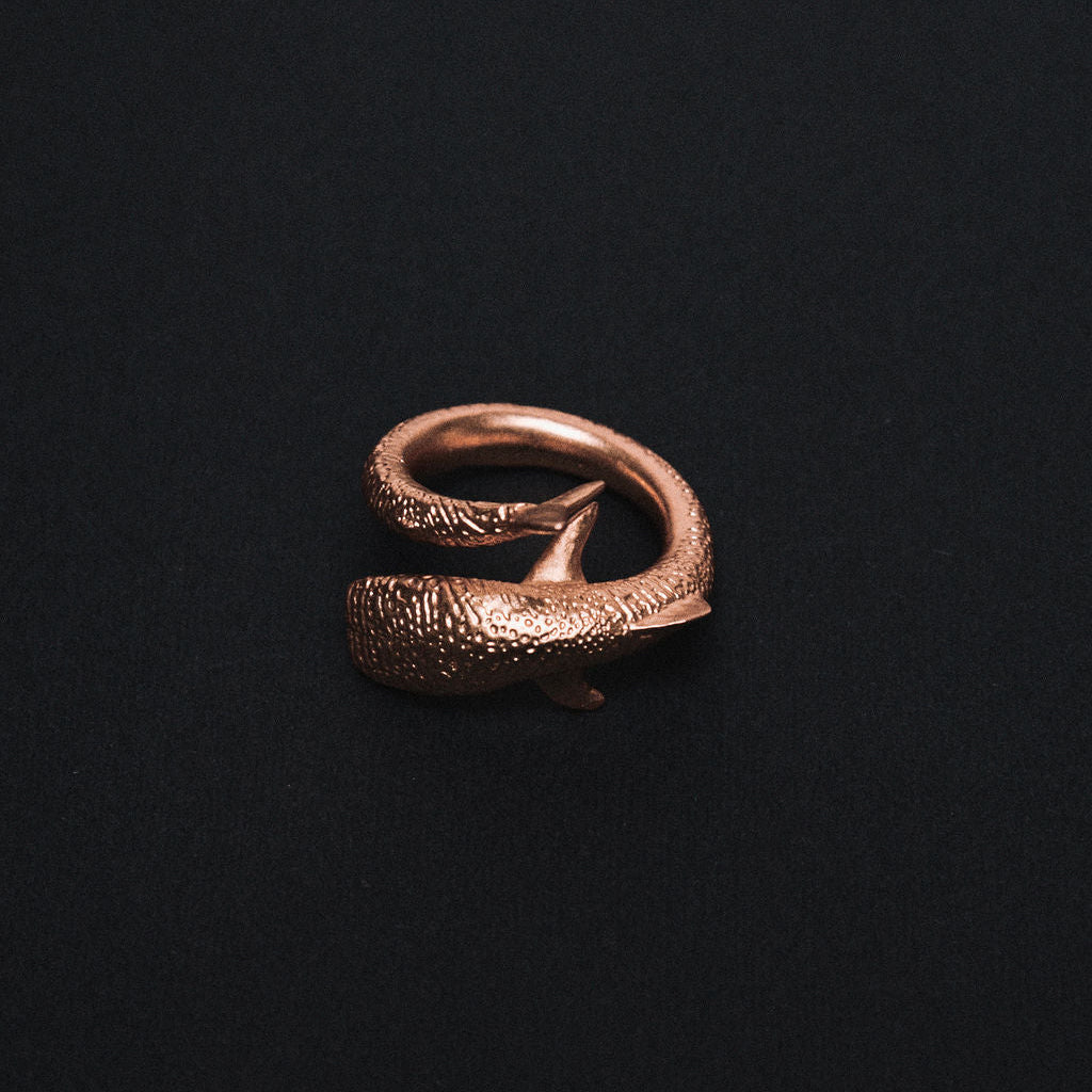 ANILLO AGUA | TIBURÓN BALLENA