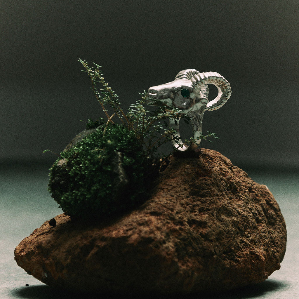 ANILLO TIERRA | CARNERO