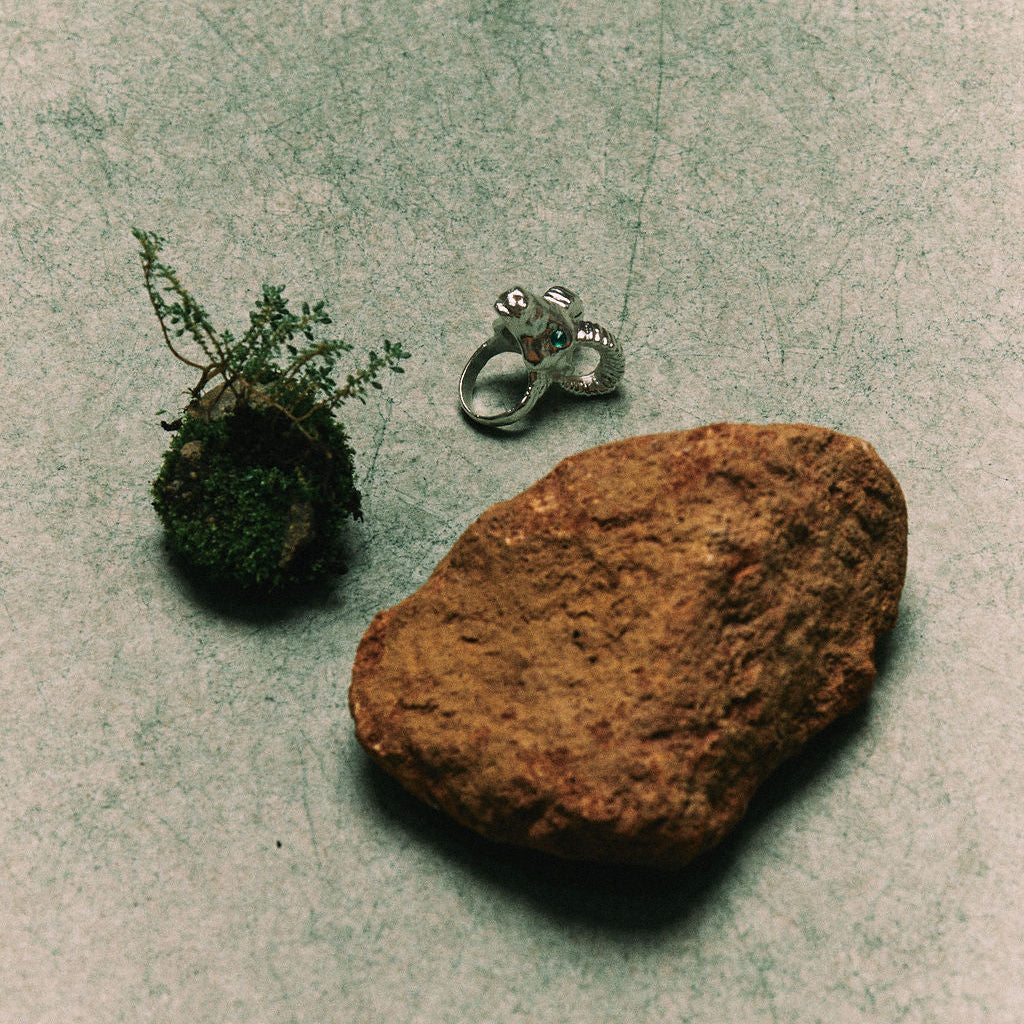 ANILLO TIERRA | CARNERO