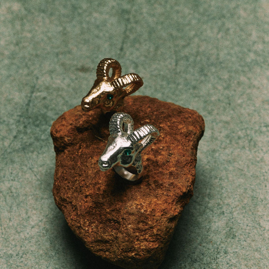 ANILLO TIERRA | CARNERO