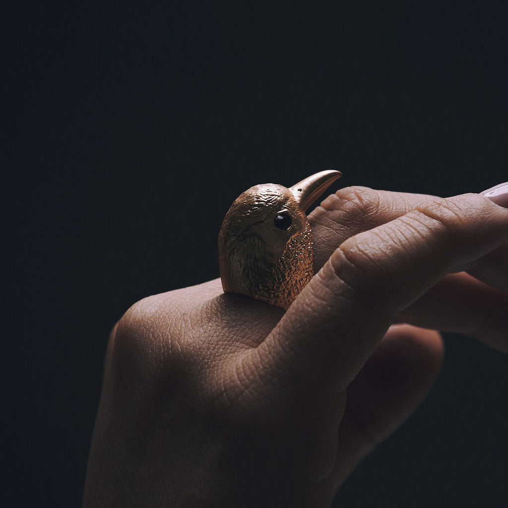 ANILLO AIRE | BARRANQUERO