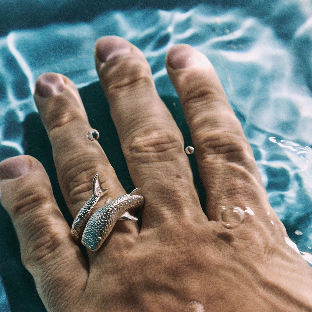 ANILLO AGUA | TIBURÓN BALLENA