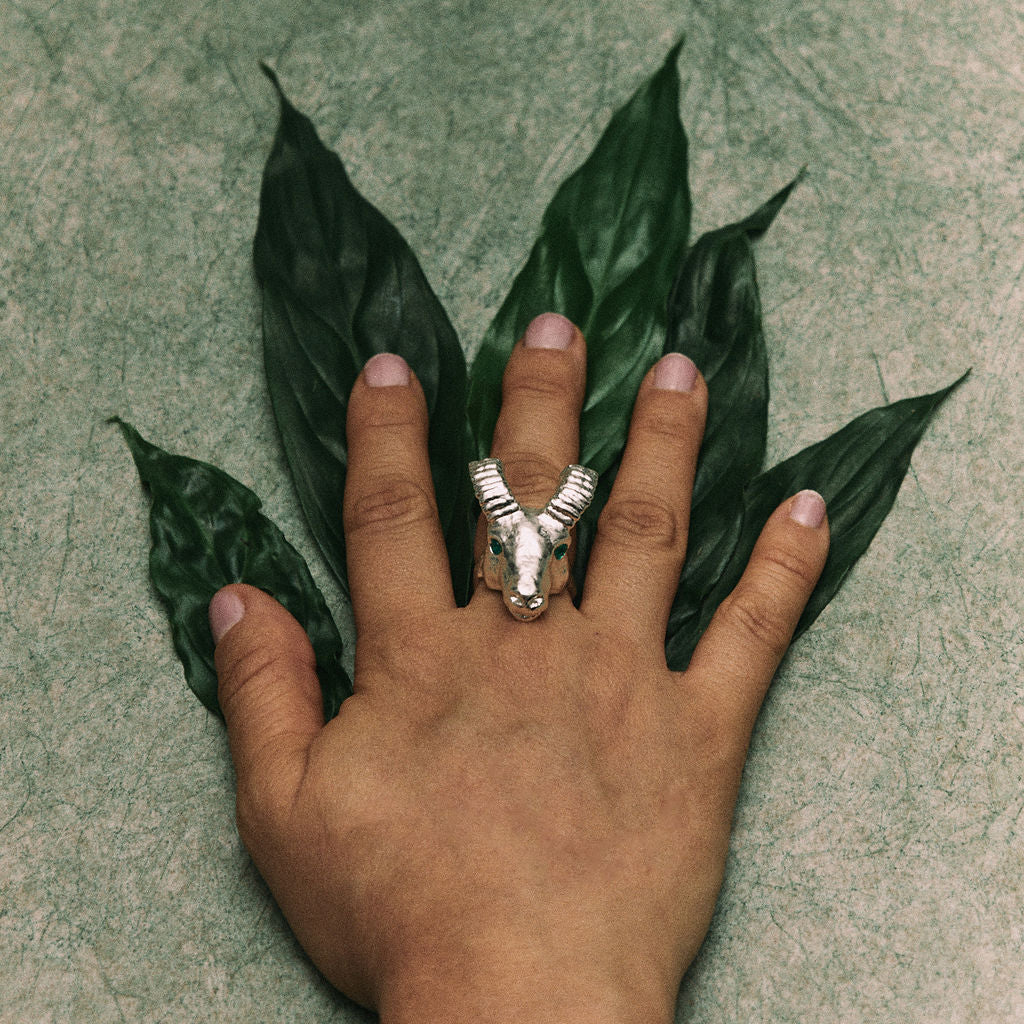 ANILLO TIERRA | CARNERO