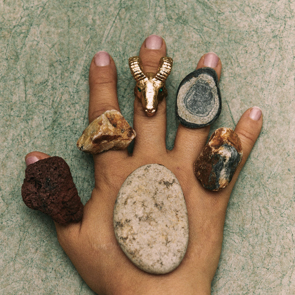 ANILLO TIERRA | CARNERO