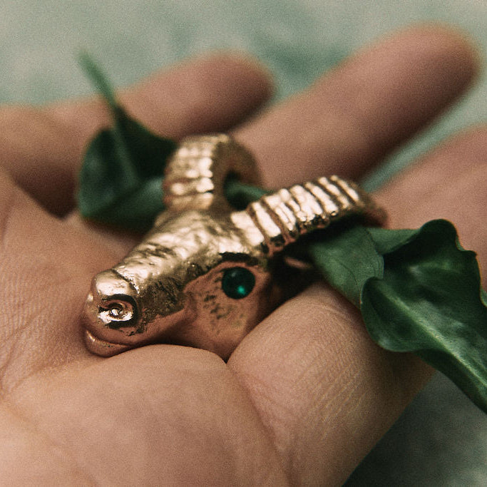 ANILLO TIERRA | CARNERO