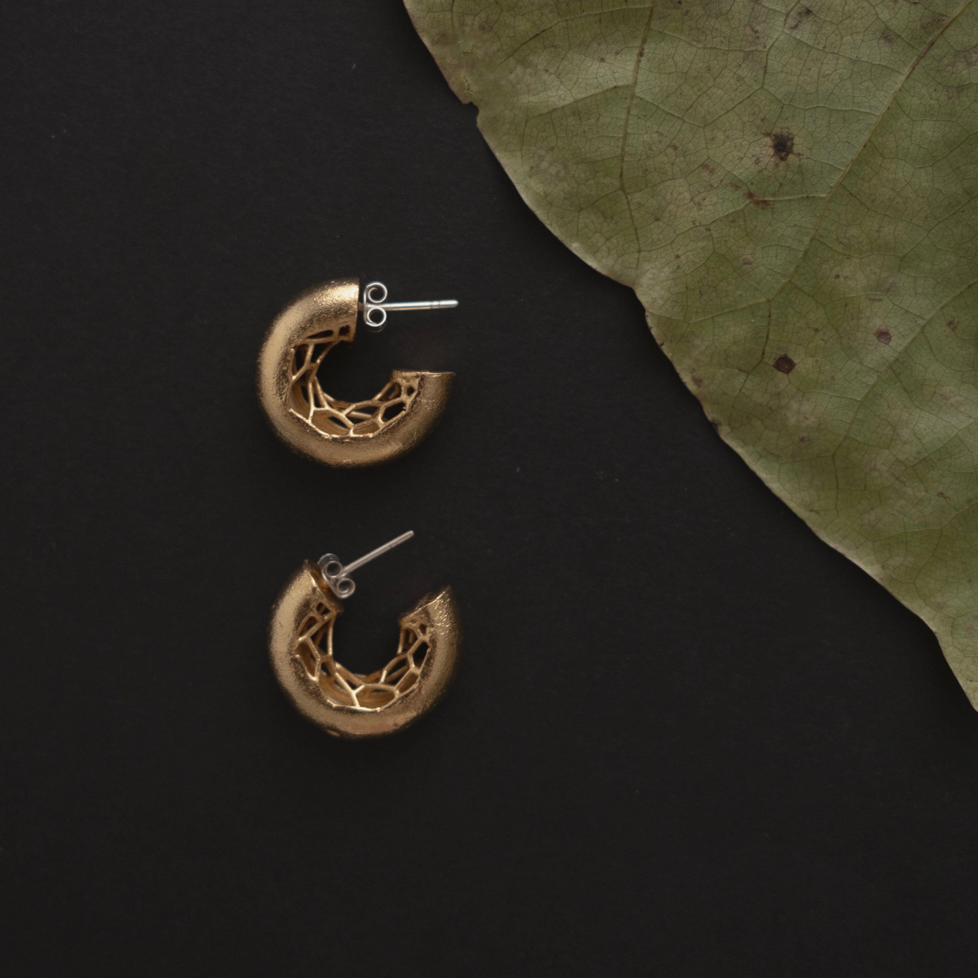 CANDONGAS PRISMA MINI